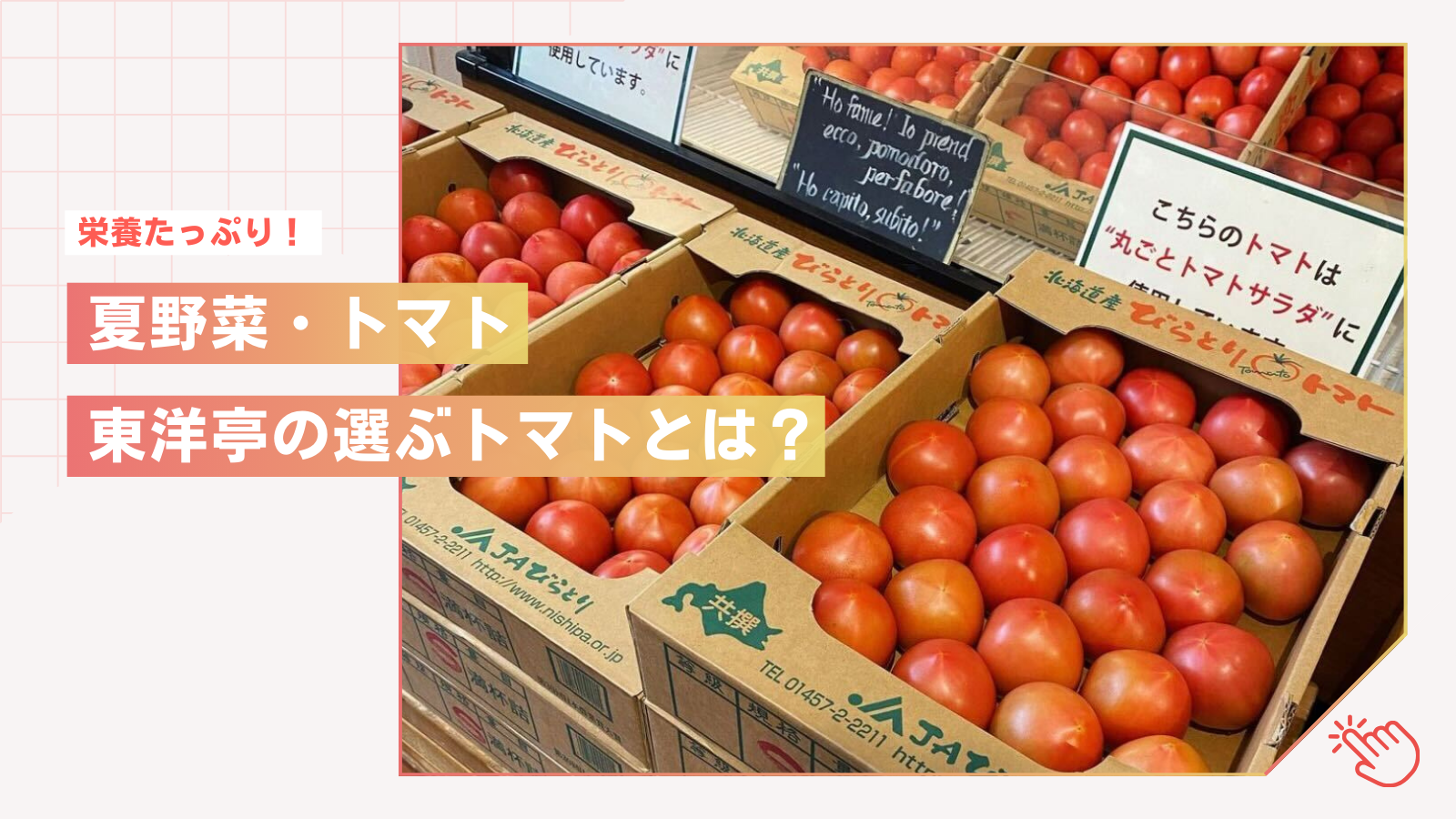 トマトの季節が到来！東洋亭の選ぶトマトとは？ – キャピタル東洋亭